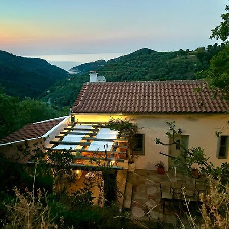 Olive Mill Cottage Скопелос Экстерьер фото